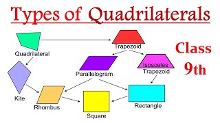 Types of Quadrilateral Class 9  Types of Quadrilaterals and their properties class 9 [upl. by Mcconaghy]