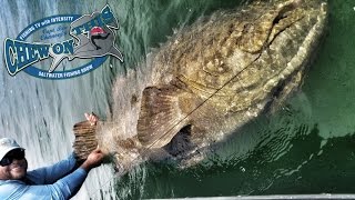 How To Catch Big Fish  Deep Sea Fishing  Saltwater Fishing Videos [upl. by Ainocal]