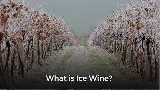 What is Ice Wine [upl. by Lemmor]