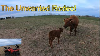 The Unwanted Rodeo [upl. by Yehudit]