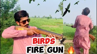 Birds ka Shikar kar liya 🦅  Birds Fire 🔥  newvlog birds firebirds [upl. by Atteloc]