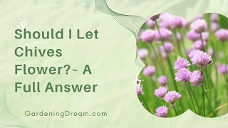 Should I Let Chives Flower – A Full Answer [upl. by Neisa]