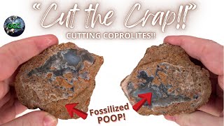 “Cut the Crap”  Cutting Coprolites Fossilized POOP [upl. by Gadmon]