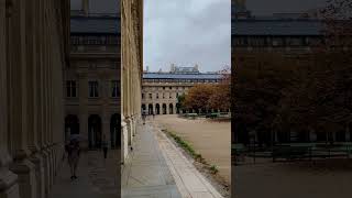 Paris Palais Royale  Serene Scenes paris serenity travel palaisroyal [upl. by Latsyrc]