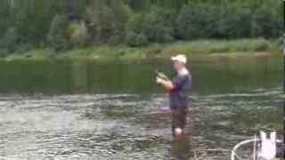 Umpqua River Smallmouth Bass [upl. by Amikehs840]