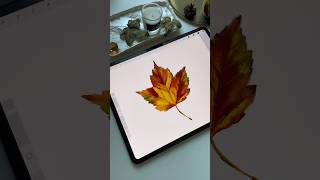 Drawing Process in Procreate  Watercolor Autumn Leaf  Tutorial shorts procreate tutorial [upl. by Anivlem682]