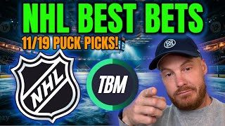 NHL Best Bets Top Picks amp Predictions Today 111924  Free NHL Expert Picks [upl. by Savinirs971]