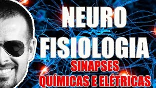 Sinapses Químicas e Elétricas  Sistema Nervoso  Neurofisiologia  VideoAula 083 [upl. by Atilrep]