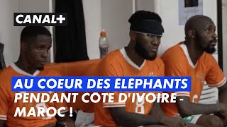 Côte dIvoire  Maroc  au coeur des Éléphants [upl. by Sobmalarah981]