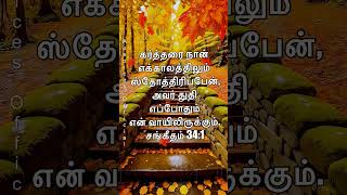 Todays Bible verse Todays Promise verse 4th Nov 2024 இன்றைய வேத வசனம் sisEsther Nirmal Kumar [upl. by Delogu]