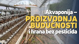 Akvaponija – proizvodnja budućnosti i hrana bez pesticida [upl. by Arukas]