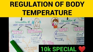 Regulation of Body Temperature  Physiology  Entry No 7 [upl. by Nylitak]