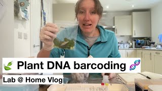 🍃 Plant DNA barcoding 🧬 Lab  Home [upl. by Rafa]