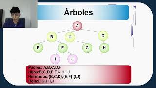 Árboles en Programación [upl. by Blackmun]