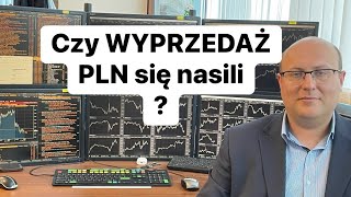 😡Czy WYPRZEDAŻ PLN Się Nasili😡 [upl. by Negaem]