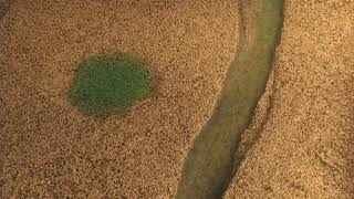 River Geomorphology 17  Wetland Draining Caused by Incision Oblique Upstream View [upl. by Warton]