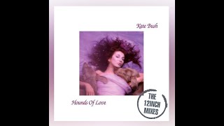 Kate Bush  Hounds of Love [upl. by Mixie558]