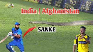 India vs Afghanistan Hilight Match  Snake in Background [upl. by Rooney]