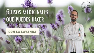 Descubre 5 Usos Medicinales de la Lavanda que Puedes Hacer Fácilmente en Casa  Remedios naturales [upl. by Yrak]