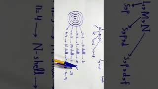 Shells amp subshells Explained in Urdu  Chemistry class 11 shorts youtubeshorts chemistry [upl. by Tom]