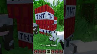 Will this minecraft dog survive the explosion minecraft tnt [upl. by Boote]