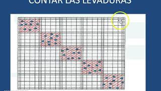 CONTAJE DE LEVADURAS EN CAMARA DE NEUBAUER Y DETERMINACION DE VIABILIDAD [upl. by Gasser]