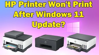 Printer Wont Print After Windows 11 [upl. by Allit]