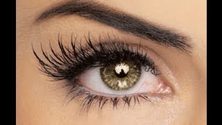 How To Apply False Eyelashes [upl. by Nylatsirk]