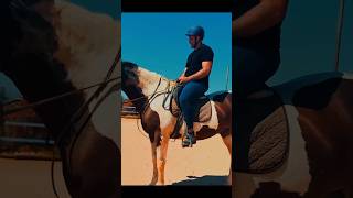 Men skewbald mares and horseriding lessons ygequestrian [upl. by Elleirda]