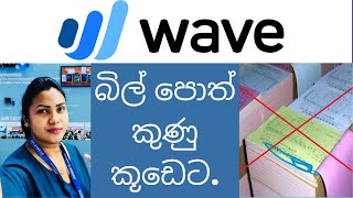 Wave Accountine Software [upl. by Nhoj528]