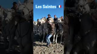 Abrivado au Saintes 🇫🇷 plage Est le 111124 abrivado horse plage [upl. by Mccord453]