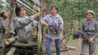 Single woman  with her grandmother  designed a pig barn  to make life better [upl. by Gianni]