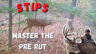 5 Great Pre Rut Hunting Tips to Help Tag Your Target Buck [upl. by Khalin]