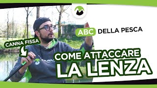 COME ATTACCARE la LENZA alla CANNA FISSA  ABC della PESCA [upl. by Ezekiel]