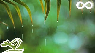 You amp Me Relaxing Piano Music amp Soft Rain Sounds For Sleep amp Relaxation by Peder B Helland [upl. by Skipper]