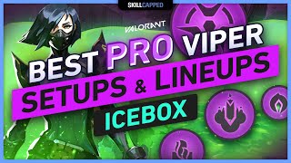 Best PRO Viper SETUPS amp LINEUPS on ICEBOX Walls Snake Bite Poison Cloud Ultimate [upl. by Fesuoy983]