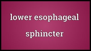 Lower esophageal sphincter Meaning [upl. by Jorry]