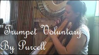 Trumpet Voluntary Theme PurcellClarke on Harp  The Michigan Harpist [upl. by Aneis532]