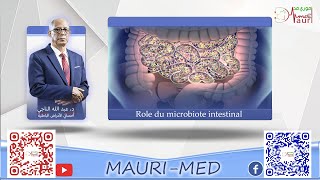 Role du microbiote intestinal [upl. by Dehsar]