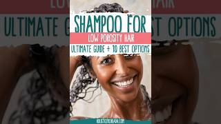 Best Shampoo for Low Porosity Hair 2024 lowporosity [upl. by Cynthla]