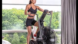 Schwinn Airdyne Pro Review Exercise Bike [upl. by Brunella]