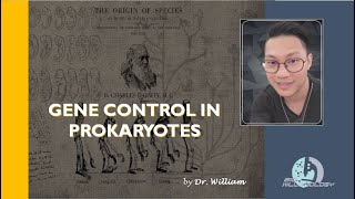 Gene Control In Prokaryotes by Dr William [upl. by Diana540]