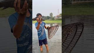 Real Amazing Big Fishing By Polo  Amazing Big Fishing Hunting By Traditional polo Trap fishing [upl. by Addia]