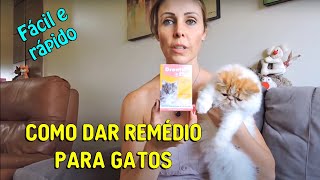 Como dar REMÉDIO comprimido para GATOS FÁCIL e RÁPIDO  Gatil Hauser [upl. by Phelia671]