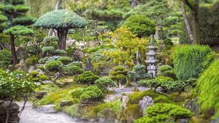 JAPANESE GARDEN • 10H Calming Nature Sounds • Ft ShishiOdoshi [upl. by Georgianne270]