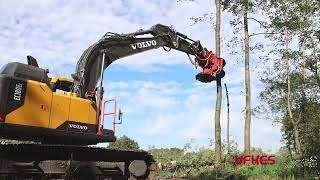 Cirkelzaag Bomengrijper  Groeneveldt Grijpers  Ufkes Greentec  Tree Felling [upl. by Niwroc]