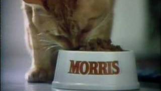 Morris the Cat for 9 Lives 1978 [upl. by Ynohtnaeoj]