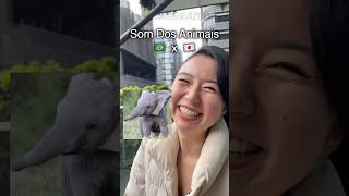 Son dos animais em japonês 😂 [upl. by Atived]