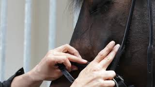 Finesse Bridles how to Fit your Bridle [upl. by Nnaitsirk]