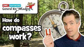 How does a compass work  General KnOWLedge [upl. by Oby]